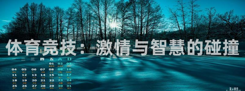 体育竞技：激情与智慧的碰撞